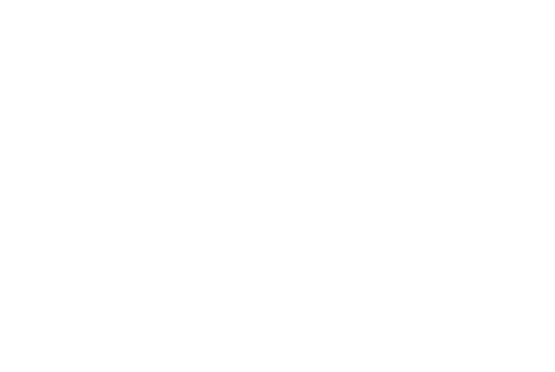 Elica- logo