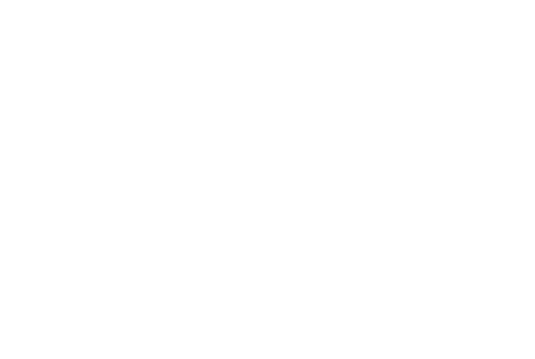 Steel- logo