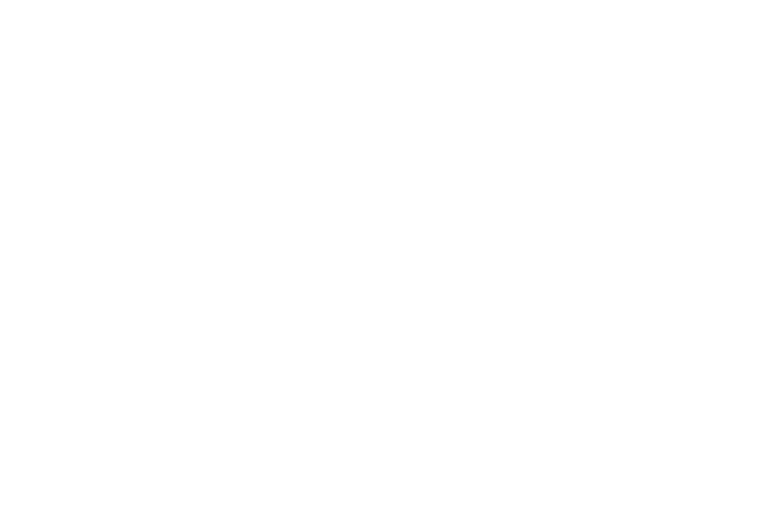 Alfa forni- logo