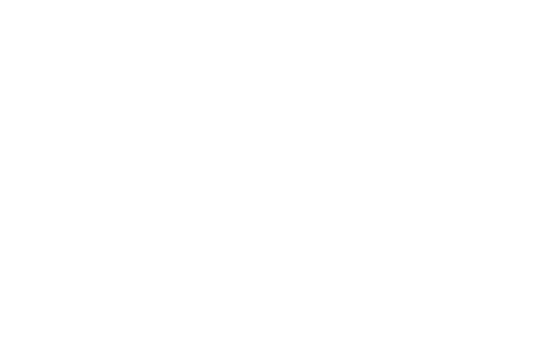 Barazza - logo