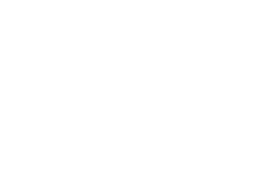 Smalvic- logo