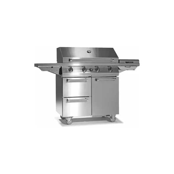 STEEL FREESTANDING GAS BARBECUE SWING W9C-4